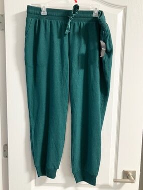 NWT Torrid supersoft plush lounge joggers size 2XL